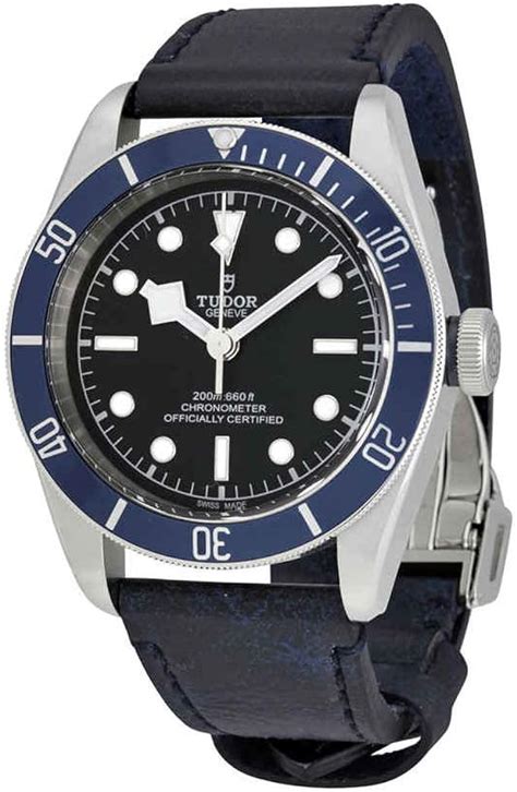 tudor heritage black bay 79230b